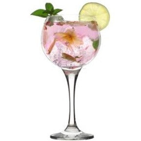 Ambassador Gin & Tonic 550 ml - Pack of 6