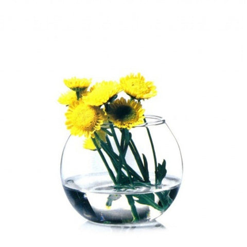 Round Vase Small - Pack of 2