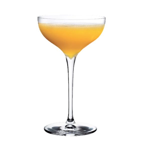 Terroir Coupe 185 ml - Pack of 6