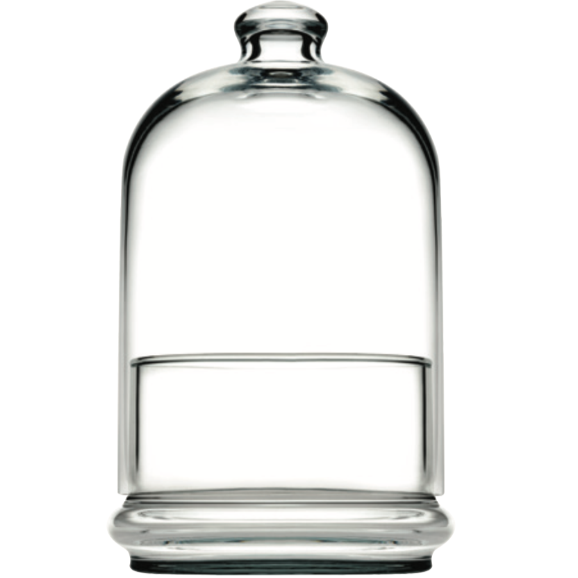 Tall Dome with Lid 7.5" - Pack of 1