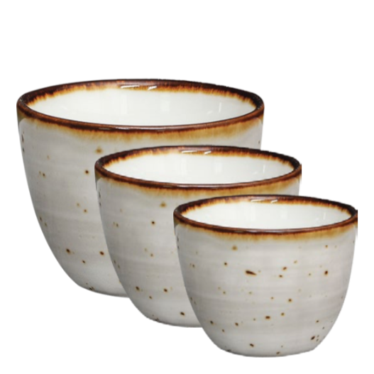 Soup Medium Bowl - Pack of 6