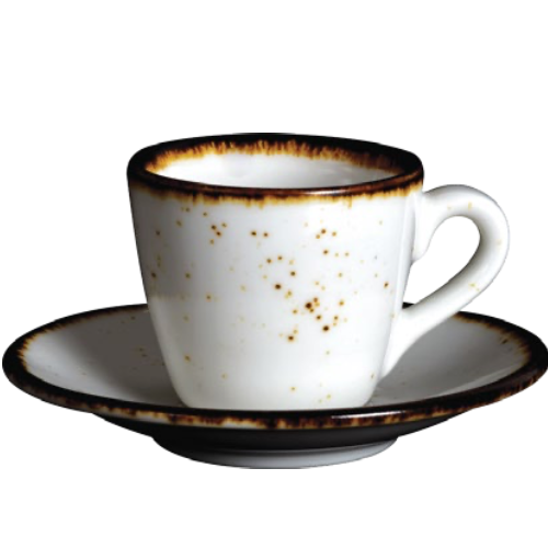Tea Cup & Saucer 250 ml - Pack of 6