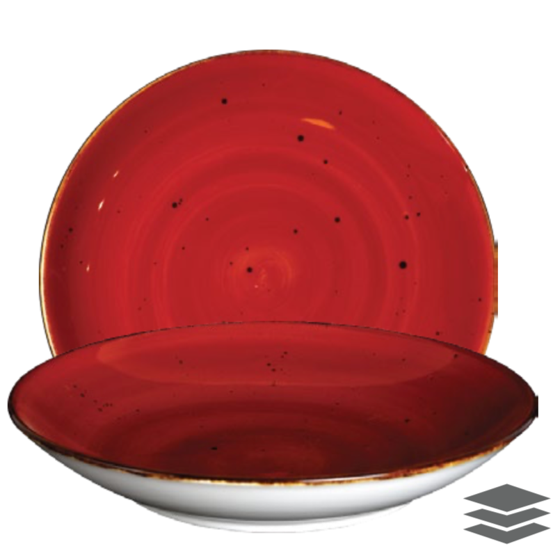 Deep Plate Large 10.25" - Pack of 4